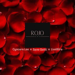 Album cover of Rojo (feat. Sane Gotti & LiveWire)