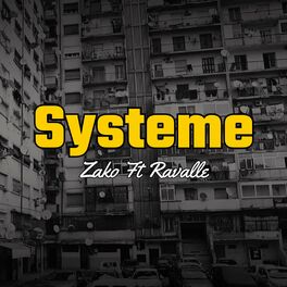 Album cover of Systeme (feat. Zako)