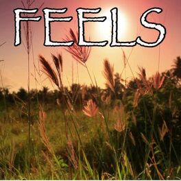 Album cover of Feels - Tribute to Calvin Harris, Pharrell Williams, Katy Perry and Big Sean