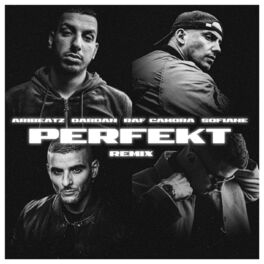 Album cover of Perfekt (feat. RAF Camora, Sofiane & Dardan) (Remix)