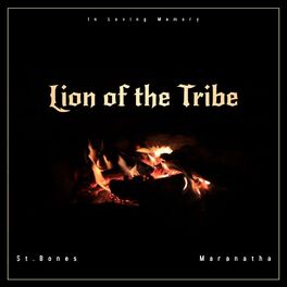 Album cover of Lion of the Tribe (feat. Maranatha)