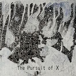 Album cover of The Pursuit of X (feat. Brianna Young)