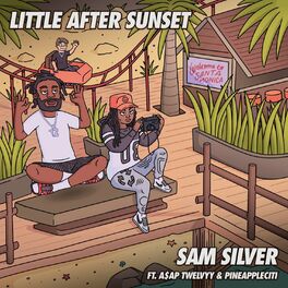 Album cover of Little After Sunset