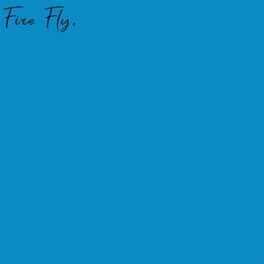 Album cover of Fire Fly (feat. Bert)
