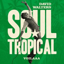 Album cover of Soul Tropical (Voilaaa Remix)