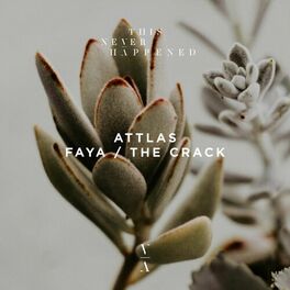 Album cover of Faya / The Crack