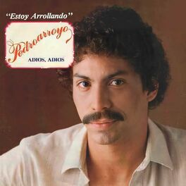 Album cover of Estoy Arroyando