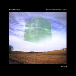 Album cover of Puzzle