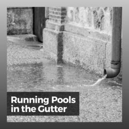 Album cover of Running Pools in the Gutter