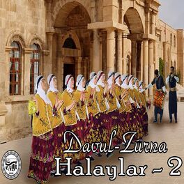 Album cover of Davul Zurna Halaylar, Vol.2