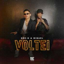 Album cover of Voltei