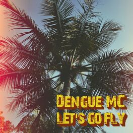 Album cover of Let's go fly