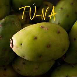 Album cover of Tú-Na