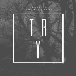 Album cover of Try (Acústico)