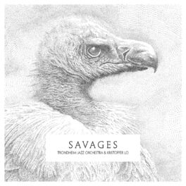 Album cover of Savages
