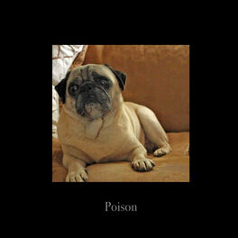 Album cover of Poison