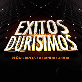 Album cover of Exitos Durisimos