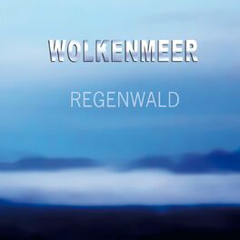 Album cover of Regenwald