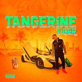 Album cover of Tangerine Tiger
