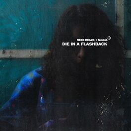 Album cover of Die In A Flashback