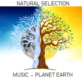 Album cover of Natural Selection: Music of Planet Earth