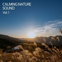 Album cover of Calming Nature Sound Vol. 1
