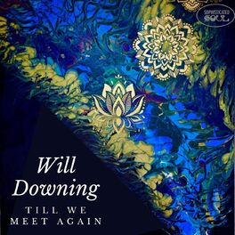 Album cover of Till We Meet Again