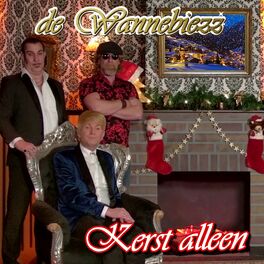 Album cover of Kerst Alleen