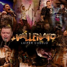 Album cover of + Vallenato (En Vivo)