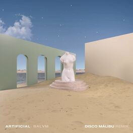 Album cover of Artificial - Disco Málibu (Remix)