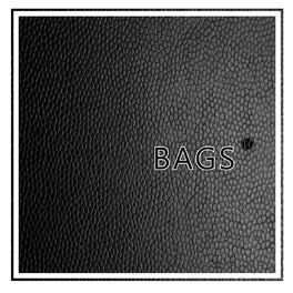 Album picture of Bags