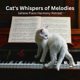 Music from Cats - Album by Cats The Musical