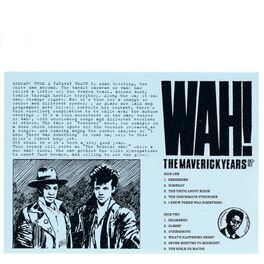 Album cover of The Maverick Years 80-81
