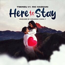 Album cover of HERE TO STAY (feat. RIC HASSANI)