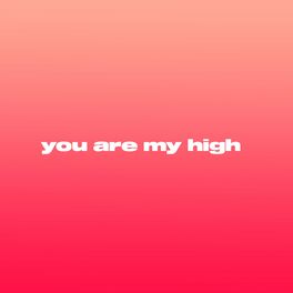Album cover of You Are My High