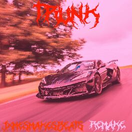 Album cover of Trunk (JxmesMakesBeats Remake) (feat. Phonk Killer) [Sped Up Version]