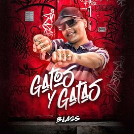 Album cover of Gatos y Gatas