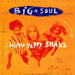 Album cover of Hippy Hippy Shake