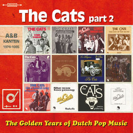Album cover of Golden Years Of Dutch Pop Music