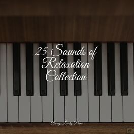 Album cover of 25 Sounds of Relaxation Collection