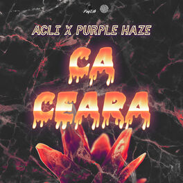 Album cover of Ca Ceara