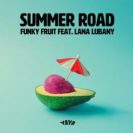 Album cover of Summer Road (feat. Lana Lubany)