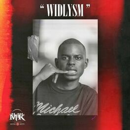 Album cover of Widlysm