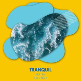 Album cover of Tranquil Malin Sounds