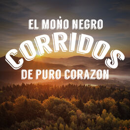 Album cover of El Mono Negro: Corridos de Puro Corazon