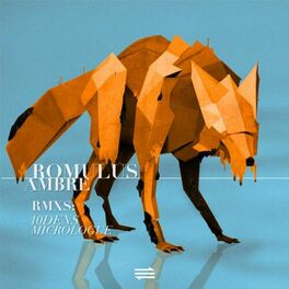 Album cover of Ambre