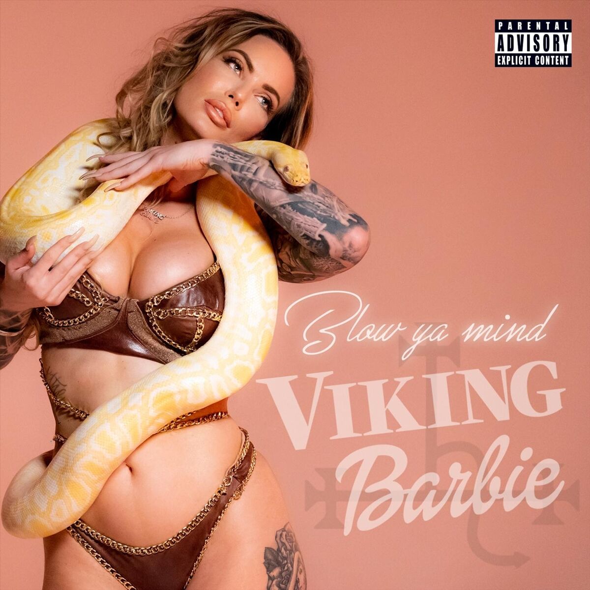 Viking Barbie - Dirtbag Baby (feat. Bezz Believe & Kéta): lyrics and songs  | Deezer