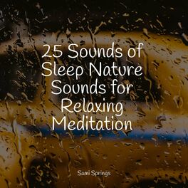 Album cover of 25 Sounds of Sleep Nature Sounds for Relaxing Meditation