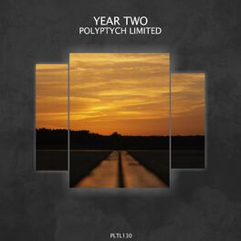 Album cover of Polyptych Limited: Year Two
