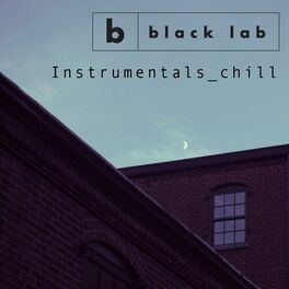 Album cover of Instrumentals_chill